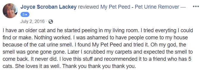  <a href='https://www.mypetpeed.com/review_groups/carpet/'>Carpet</a>, <a href='https://www.mypetpeed.com/review_groups/cat/'>Cat</a>, <a href='https://www.mypetpeed.com/review_groups/odor/'>Odor</a>, <a href='https://www.mypetpeed.com/review_groups/stains/'>Stains</a>, <a href='https://www.mypetpeed.com/review_groups/urine/'>Urine</a>