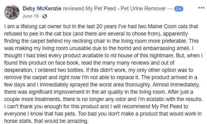  <a href='https://www.mypetpeed.com/review_groups/carpet/'>Carpet</a>, <a href='https://www.mypetpeed.com/review_groups/cat/'>Cat</a>, <a href='https://www.mypetpeed.com/review_groups/odor/'>Odor</a>, <a href='https://www.mypetpeed.com/review_groups/urine/'>Urine</a>