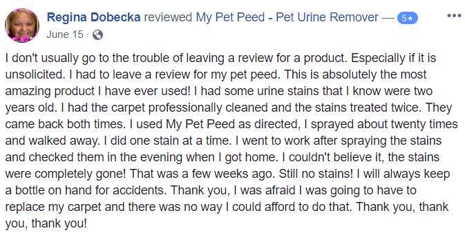  <a href='https://www.mypetpeed.com/review_groups/carpet/'>Carpet</a>, <a href='https://www.mypetpeed.com/review_groups/joe/'>Joe</a>, <a href='https://www.mypetpeed.com/review_groups/old-stains/'>Old Stains</a>, <a href='https://www.mypetpeed.com/review_groups/stains/'>Stains</a>, <a href='https://www.mypetpeed.com/review_groups/urine/'>Urine</a>