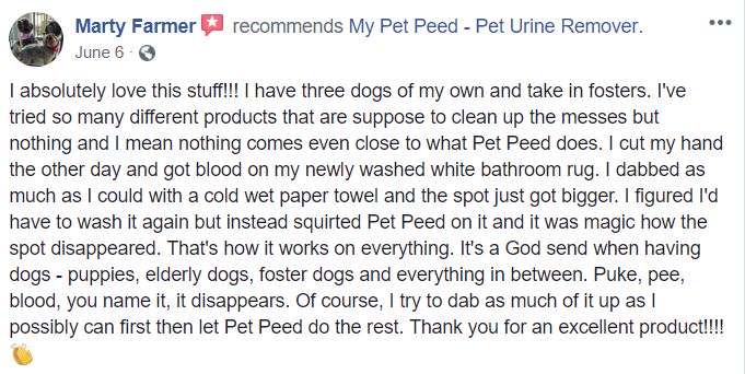  <a href='https://www.mypetpeed.com/review_groups/blood/'>Blood</a>, <a href='https://www.mypetpeed.com/review_groups/dog/'>Dog</a>, <a href='https://www.mypetpeed.com/review_groups/easy-to-use/'>Easy to use</a>, <a href='https://www.mypetpeed.com/review_groups/feces/'>Feces</a>, <a href='https://www.mypetpeed.com/review_groups/joe/'>Joe</a>, <a href='https://www.mypetpeed.com/review_groups/rug/'>Rug</a>, <a href='https://www.mypetpeed.com/review_groups/stains/'>Stains</a>, <a href='https://www.mypetpeed.com/review_groups/urine/'>Urine</a>, <a href='https://www.mypetpeed.com/review_groups/vomit/'>Vomit</a>