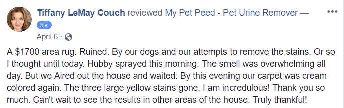  <a href='https://www.mypetpeed.com/review_groups/dog/'>Dog</a>, <a href='https://www.mypetpeed.com/review_groups/joe/'>Joe</a>, <a href='https://www.mypetpeed.com/review_groups/odor/'>Odor</a>, <a href='https://www.mypetpeed.com/review_groups/rug/'>Rug</a>, <a href='https://www.mypetpeed.com/review_groups/stains/'>Stains</a>, <a href='https://www.mypetpeed.com/review_groups/urine/'>Urine</a>