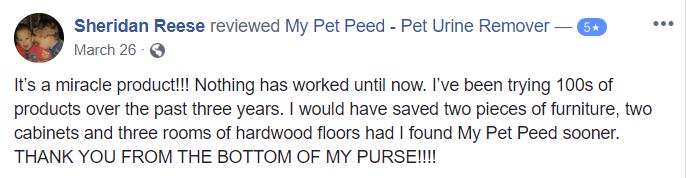  <a href='https://www.mypetpeed.com/review_groups/furniture/'>Furniture</a>, <a href='https://www.mypetpeed.com/review_groups/hardwood-floors/'>Hardwood Floors</a>, <a href='https://www.mypetpeed.com/review_groups/joe/'>Joe</a>