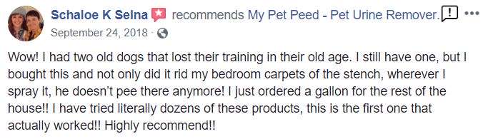  <a href='https://www.mypetpeed.com/review_groups/carpet/'>Carpet</a>, <a href='https://www.mypetpeed.com/review_groups/dog/'>Dog</a>, <a href='https://www.mypetpeed.com/review_groups/easy-to-use/'>Easy to use</a>, <a href='https://www.mypetpeed.com/review_groups/joe/'>Joe</a>, <a href='https://www.mypetpeed.com/review_groups/odor/'>Odor</a>, <a href='https://www.mypetpeed.com/review_groups/quit-returning-to-area/'>Quit Returning To Area</a>, <a href='https://www.mypetpeed.com/review_groups/urine/'>Urine</a>