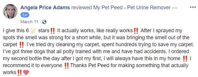  <a href='https://www.mypetpeed.com/review_groups/carpet/'>Carpet</a>, <a href='https://www.mypetpeed.com/review_groups/dog/'>Dog</a>, <a href='https://www.mypetpeed.com/review_groups/joe/'>Joe</a>, <a href='https://www.mypetpeed.com/review_groups/odor/'>Odor</a>, <a href='https://www.mypetpeed.com/review_groups/stains/'>Stains</a>, <a href='https://www.mypetpeed.com/review_groups/urine/'>Urine</a>