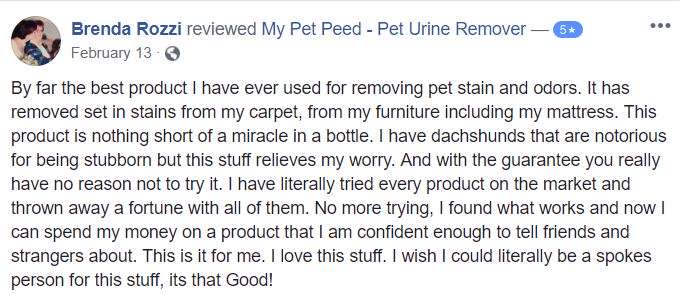  <a href='https://www.mypetpeed.com/review_groups/carpet/'>Carpet</a>, <a href='https://www.mypetpeed.com/review_groups/dog/'>Dog</a>, <a href='https://www.mypetpeed.com/review_groups/furniture/'>Furniture</a>, <a href='https://www.mypetpeed.com/review_groups/joe/'>Joe</a>, <a href='https://www.mypetpeed.com/review_groups/mattress/'>Mattress</a>, <a href='https://www.mypetpeed.com/review_groups/odor/'>Odor</a>, <a href='https://www.mypetpeed.com/review_groups/stains/'>Stains</a>