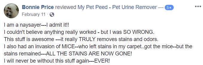  <a href='https://www.mypetpeed.com/review_groups/carpet/'>Carpet</a>, <a href='https://www.mypetpeed.com/review_groups/joe/'>Joe</a>, <a href='https://www.mypetpeed.com/review_groups/mice/'>Mice</a>, <a href='https://www.mypetpeed.com/review_groups/odor/'>Odor</a>, <a href='https://www.mypetpeed.com/review_groups/stains/'>Stains</a>