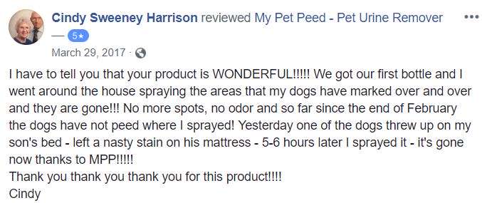  <a href='https://www.mypetpeed.com/review_groups/dog/'>Dog</a>, <a href='https://www.mypetpeed.com/review_groups/joe/'>Joe</a>, <a href='https://www.mypetpeed.com/review_groups/mattress/'>Mattress</a>, <a href='https://www.mypetpeed.com/review_groups/odor/'>Odor</a>, <a href='https://www.mypetpeed.com/review_groups/quit-returning-to-area/'>Quit Returning To Area</a>, <a href='https://www.mypetpeed.com/review_groups/stains/'>Stains</a>, <a href='https://www.mypetpeed.com/review_groups/urine/'>Urine</a>, <a href='https://www.mypetpeed.com/review_groups/vomit/'>Vomit</a>