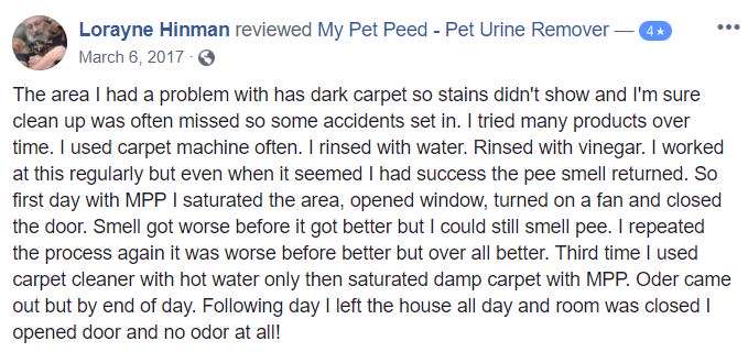  <a href='https://www.mypetpeed.com/review_groups/carpet/'>Carpet</a>, <a href='https://www.mypetpeed.com/review_groups/joe/'>Joe</a>, <a href='https://www.mypetpeed.com/review_groups/odor/'>Odor</a>, <a href='https://www.mypetpeed.com/review_groups/stains/'>Stains</a>, <a href='https://www.mypetpeed.com/review_groups/urine/'>Urine</a>