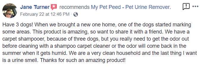  <a href='https://www.mypetpeed.com/review_groups/carpet/'>Carpet</a>, <a href='https://www.mypetpeed.com/review_groups/dog/'>Dog</a>, <a href='https://www.mypetpeed.com/review_groups/joe/'>Joe</a>, <a href='https://www.mypetpeed.com/review_groups/odor/'>Odor</a>, <a href='https://www.mypetpeed.com/review_groups/urine/'>Urine</a>