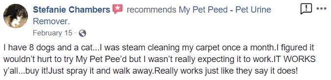  <a href='https://www.mypetpeed.com/review_groups/carpet/'>Carpet</a>, <a href='https://www.mypetpeed.com/review_groups/cat/'>Cat</a>, <a href='https://www.mypetpeed.com/review_groups/easy-to-use/'>Easy to use</a>, <a href='https://www.mypetpeed.com/review_groups/great-company/'>Great Company</a>