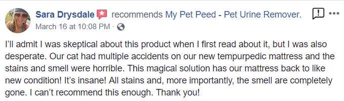  <a href='https://www.mypetpeed.com/review_groups/cat/'>Cat</a>, <a href='https://www.mypetpeed.com/review_groups/joe/'>Joe</a>, <a href='https://www.mypetpeed.com/review_groups/mattress/'>Mattress</a>, <a href='https://www.mypetpeed.com/review_groups/odor/'>Odor</a>, <a href='https://www.mypetpeed.com/review_groups/stains/'>Stains</a>, <a href='https://www.mypetpeed.com/review_groups/urine/'>Urine</a>