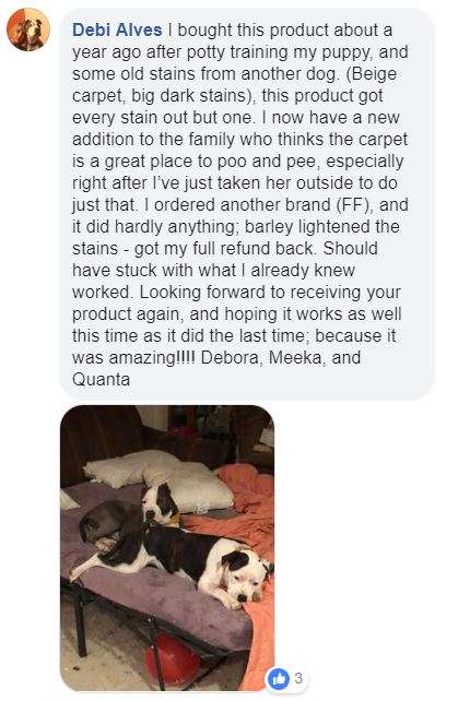  <a href='https://www.mypetpeed.com/review_groups/carpet/'>Carpet</a>, <a href='https://www.mypetpeed.com/review_groups/dog/'>Dog</a>, <a href='https://www.mypetpeed.com/review_groups/feces/'>Feces</a>, <a href='https://www.mypetpeed.com/review_groups/joe/'>Joe</a>, <a href='https://www.mypetpeed.com/review_groups/urine/'>Urine</a>